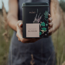 Tea Blend Blossom - flower tea blend, herbal flower organic: 25 biodegrdabale tea bags free from plastic