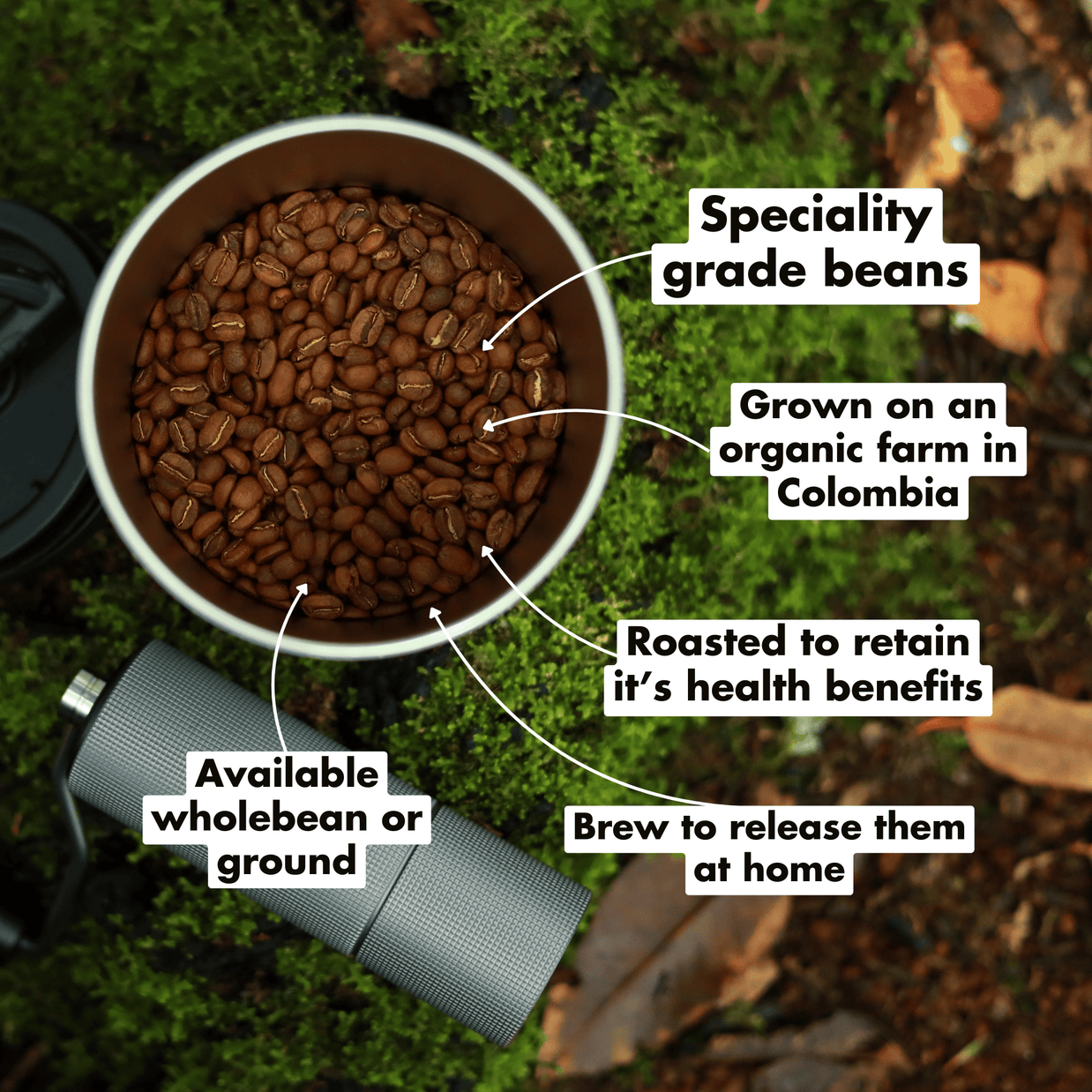 Organic Dark(ish) Roast Coffee
