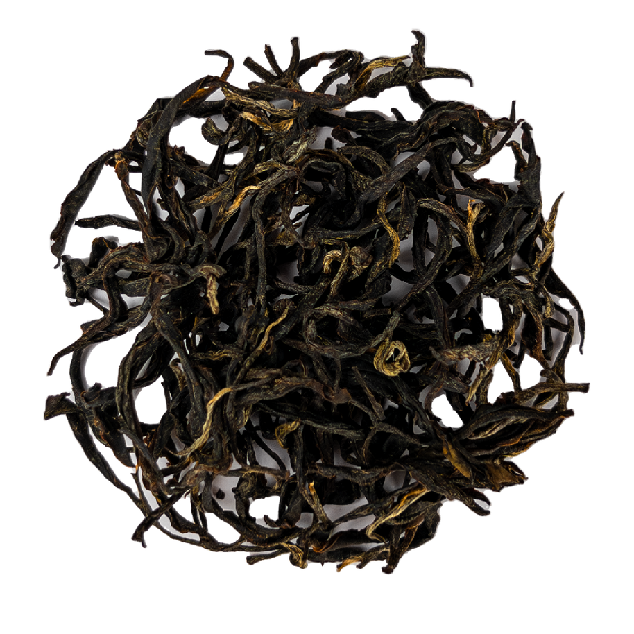 Kinnettles Gold — Scottish Grown Single Estate Tea — detail view