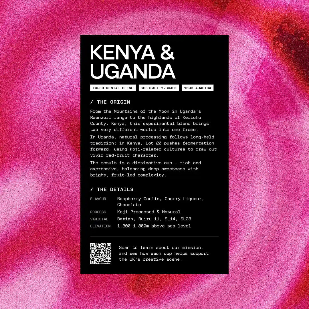 Studio Black Wrap Party Kenya & Uganda blend