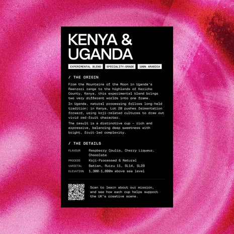 Studio Black Wrap Party — Kenya & Uganda Blend, 250g — product detail view 2
