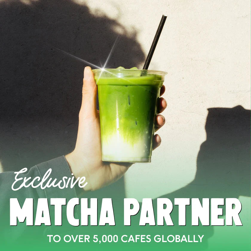 PerfectTed Ceremonial Matcha — 30g — product detail view 6