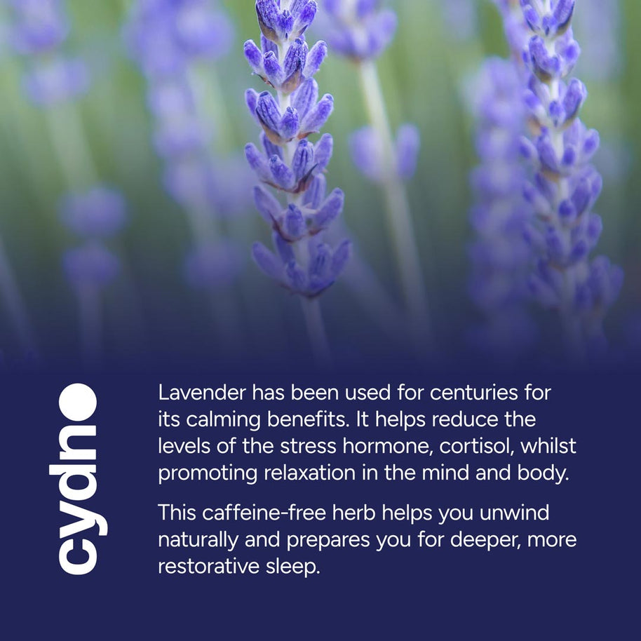 Cydno Lavender Tea — French Lavender Infusion — additional product view 3
