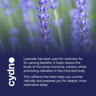 Cydno Lavender Tea — French Lavender Infusion — additional product view 3
