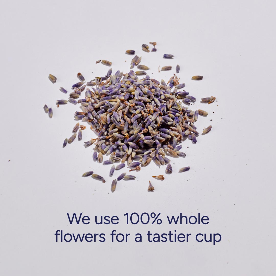 Cydno Lavender Tea — French Lavender Infusion — additional product view 5