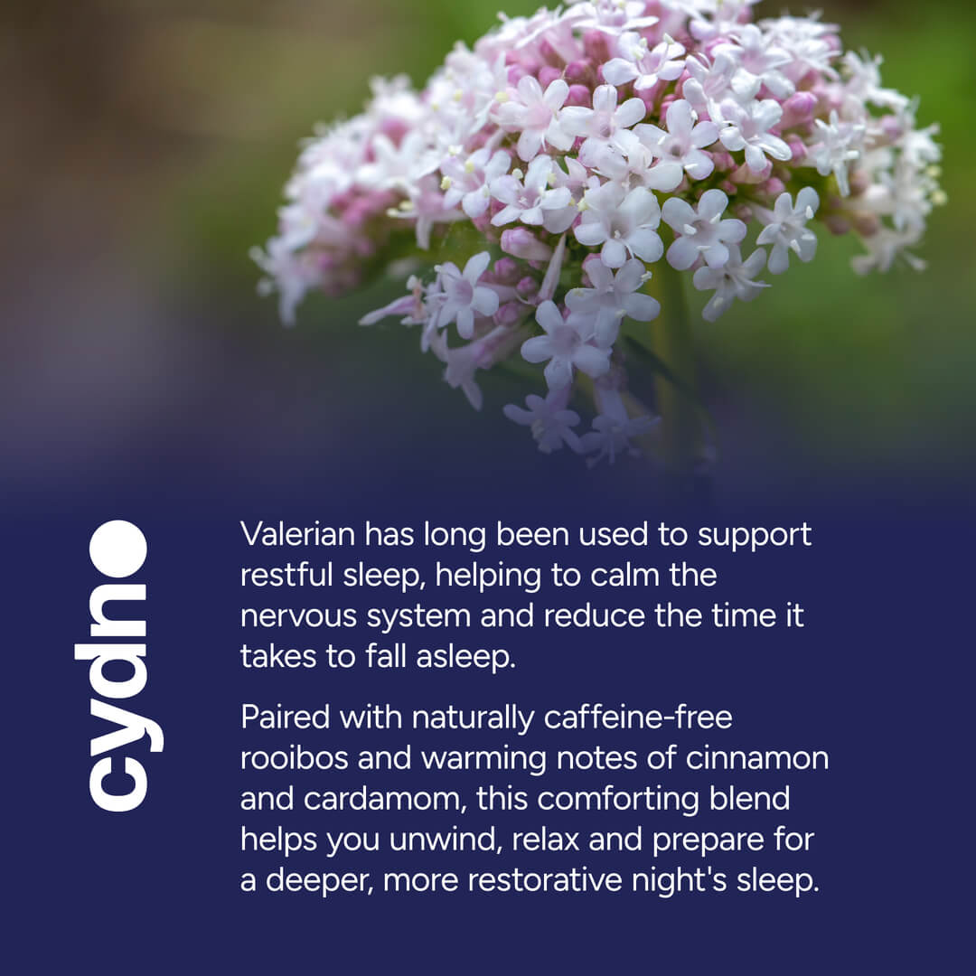 Cydno Spiced Valerian & Rooibos — Herbal Blend — additional product view 5