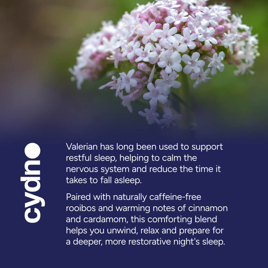 Cydno Spiced Valerian & Rooibos — Herbal Blend — additional product view 5