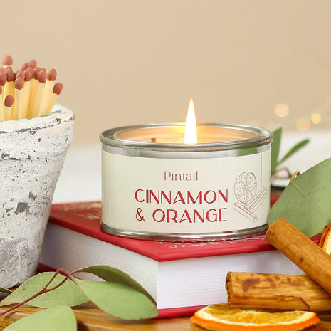 Pintail Cinnamon & Orange Paint Pot Candle
