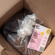 Girl Crush — El Salvador & Brazil Espresso Blend, 250g — product detail view 8
