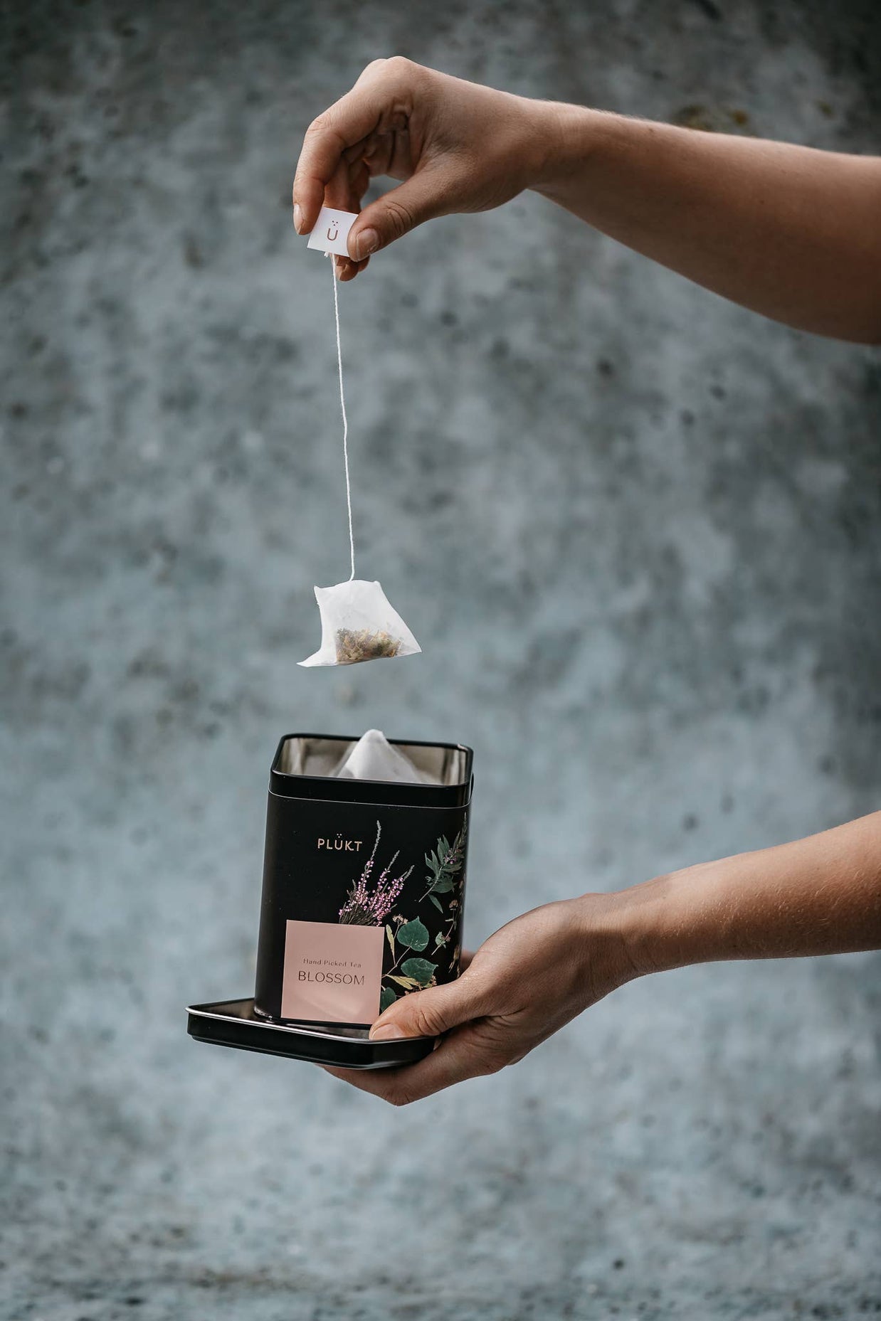 Tea Blend Blossom - flower tea blend, herbal flower organic: 25 biodegrdabale tea bags free from plastic
