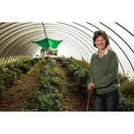 Kinnettles Gold — Scottish Grown Single Estate Tea — additional product view 6