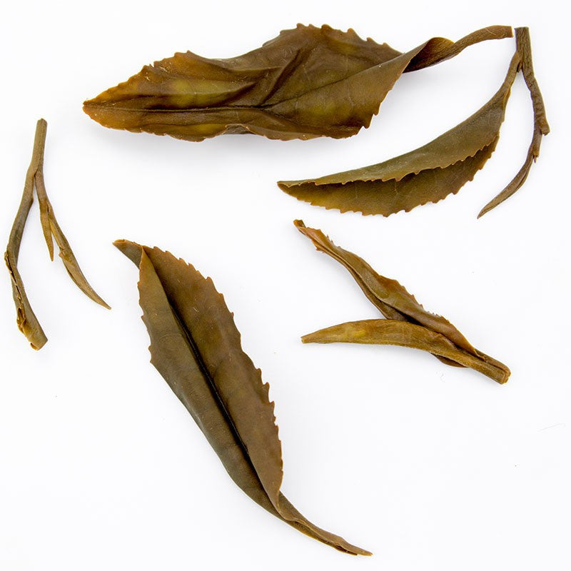 Kinnettles Gold — Scottish Grown Single Estate Tea — detail view 5