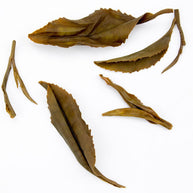 Kinnettles Gold — Scottish Grown Single Estate Tea — detail view 5
