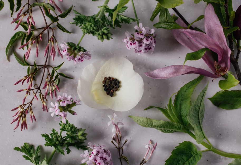 Elegant Rose — Fine Bone China Reed Diffuser — product detail view 3