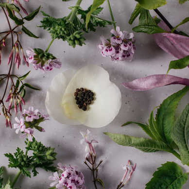 ELEGANT ROSE REED DIFFUSER